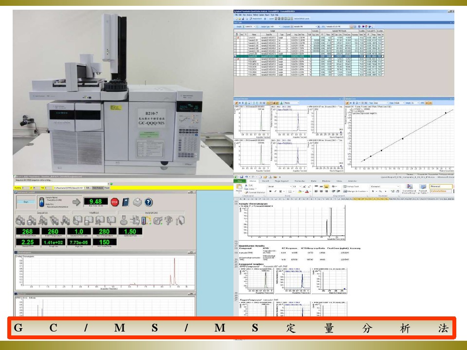 6.GCMSMS定量分析法