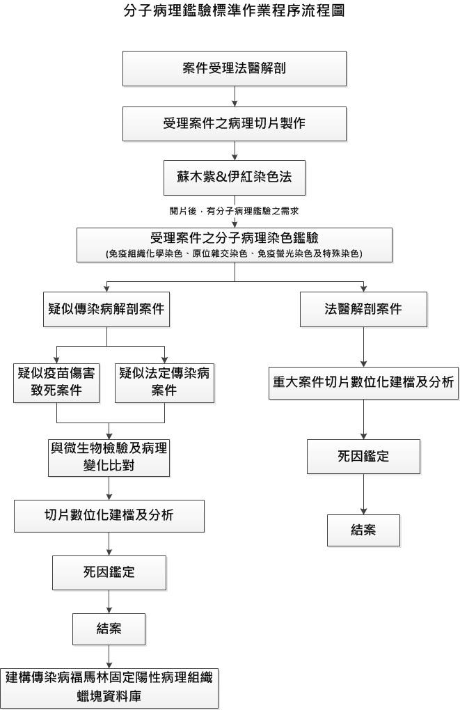 分子病理鑑驗標準作業程序流程圖(jpg)