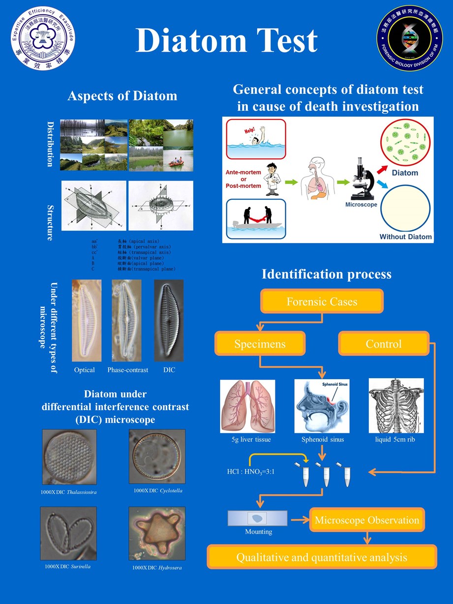 7-Diatom Test_1080626_eng_A23