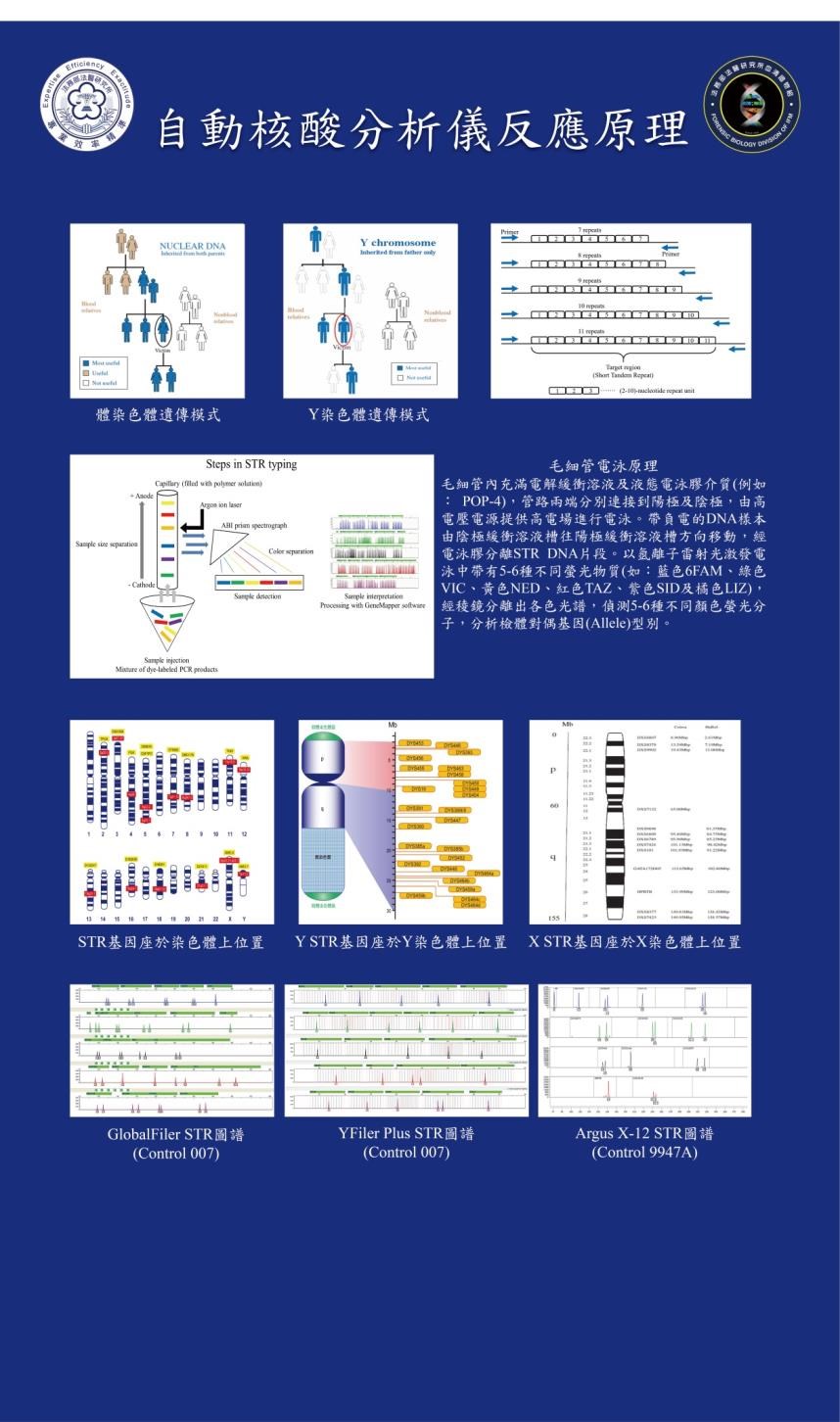 自動核酸分析儀反應原理
