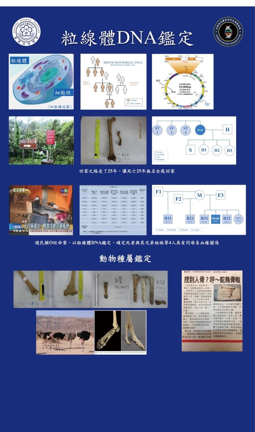 粒線體DNA鑑定