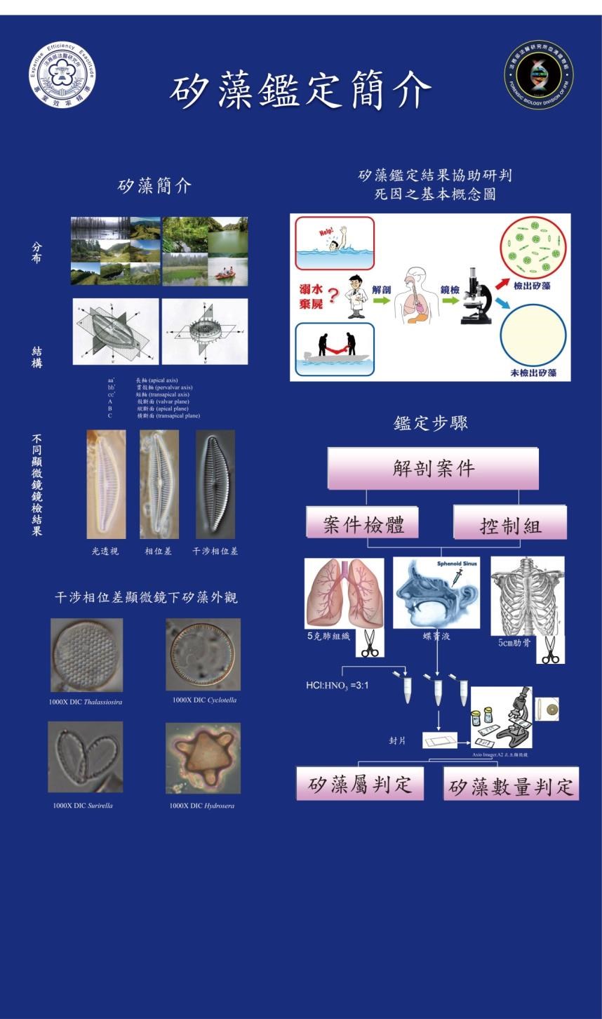 矽藻鑑定簡介